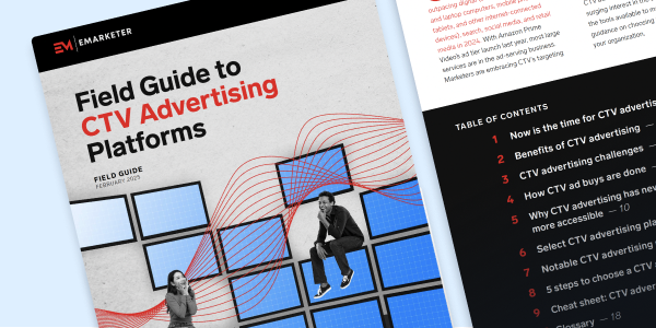 Field Guide to CTV Advertising Platforms